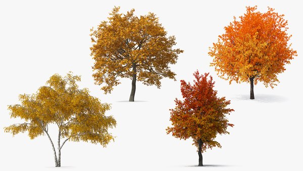 3D model Autumn Yellow Trees Collection - TurboSquid 1807060