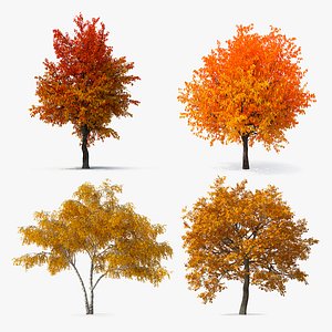 3D model Autumn Yellow Trees Collection