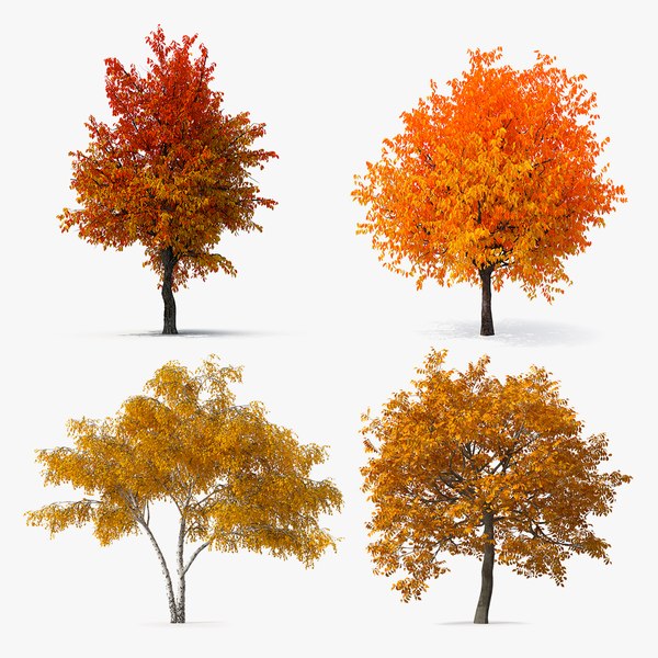 Tree 3d Models For Download 