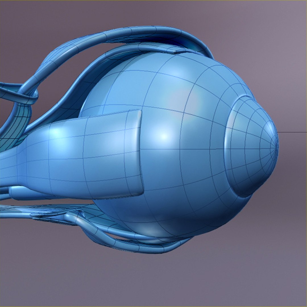 3d model human organ set https://p.turbosquid.com/ts-thumb/fU/BSNh22/6AchBahX/u4/jpg/1296468911/1920x1080/fit_q87/fb2a3df2adeec84b405e9972fb7c3c715a2e176e/u4.jpg