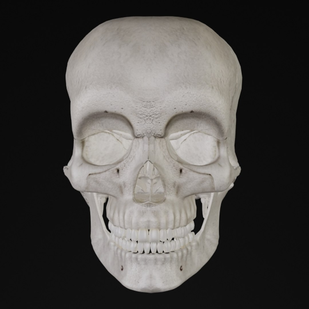3d model human organ set https://p.turbosquid.com/ts-thumb/fU/BSNh22/9eZWWpTg/sk_1/jpg/1296468911/1920x1080/fit_q87/21831814227de8a620ebf6551294bf4970cd73f3/sk_1.jpg