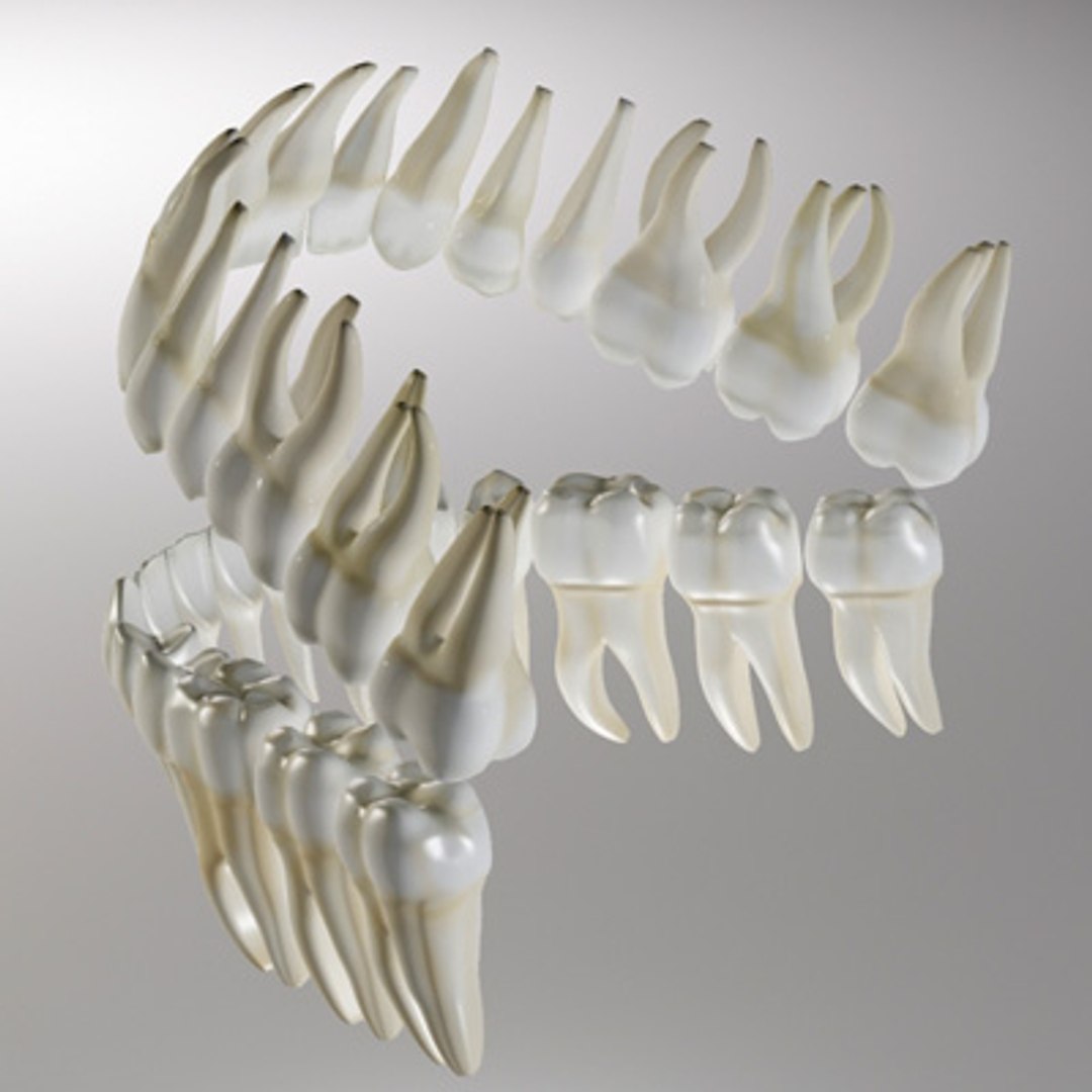 3d model human organ set https://p.turbosquid.com/ts-thumb/fU/BSNh22/D3xhnTOX/ot_6/jpg/1296468910/1920x1080/fit_q87/77c9aa09ed129c2e0ff8110605b0e6eb1e303903/ot_6.jpg