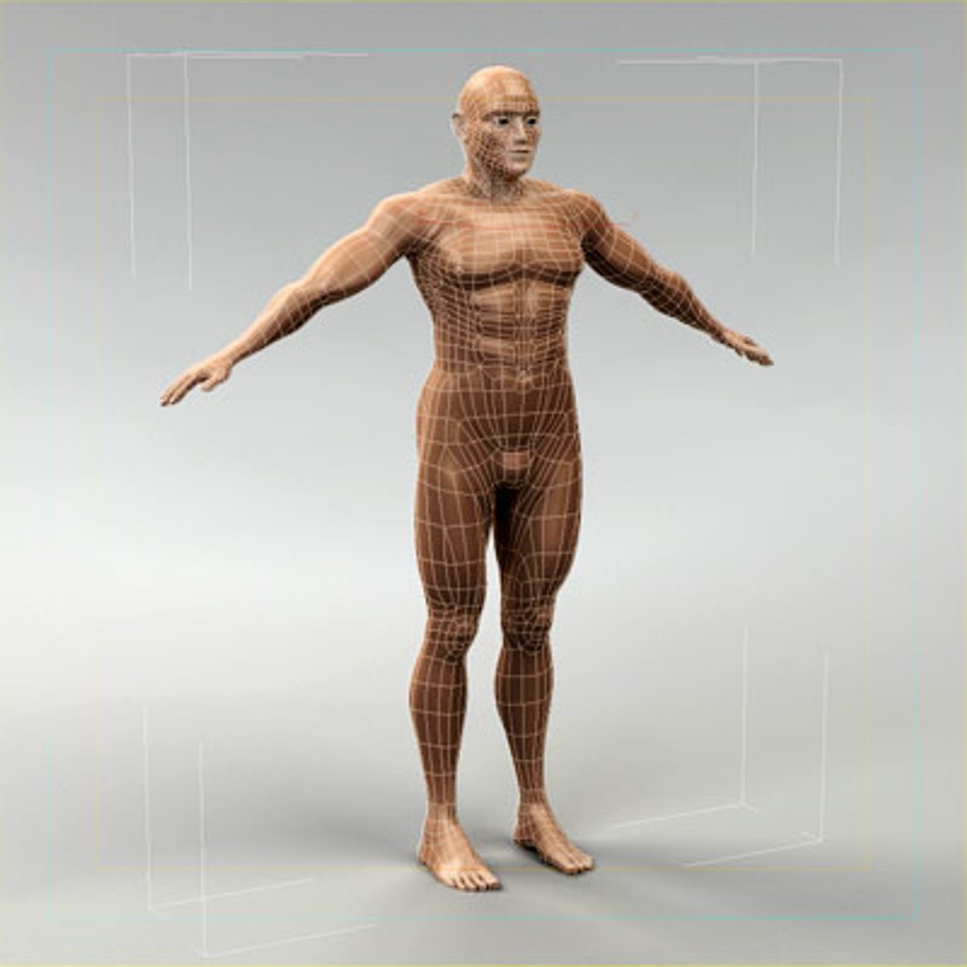 3d model human organ set https://p.turbosquid.com/ts-thumb/fU/BSNh22/D9W82WwJ/male_91/jpg/1296468910/1920x1080/fit_q87/116f03e24128eb0902f66cd479bb3411a3737c5f/male_91.jpg