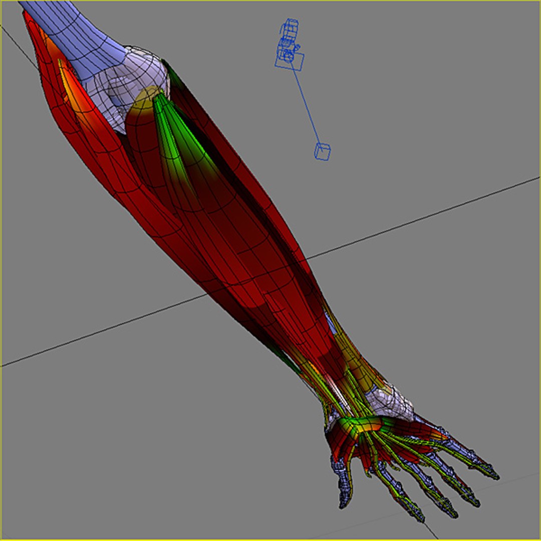 3d model human organ set https://p.turbosquid.com/ts-thumb/fU/BSNh22/E0OtfLSy/h96/jpg/1296468910/1920x1080/fit_q87/0eed61e2394598c57a1f83cbee81e3aebaa1c4ce/h96.jpg
