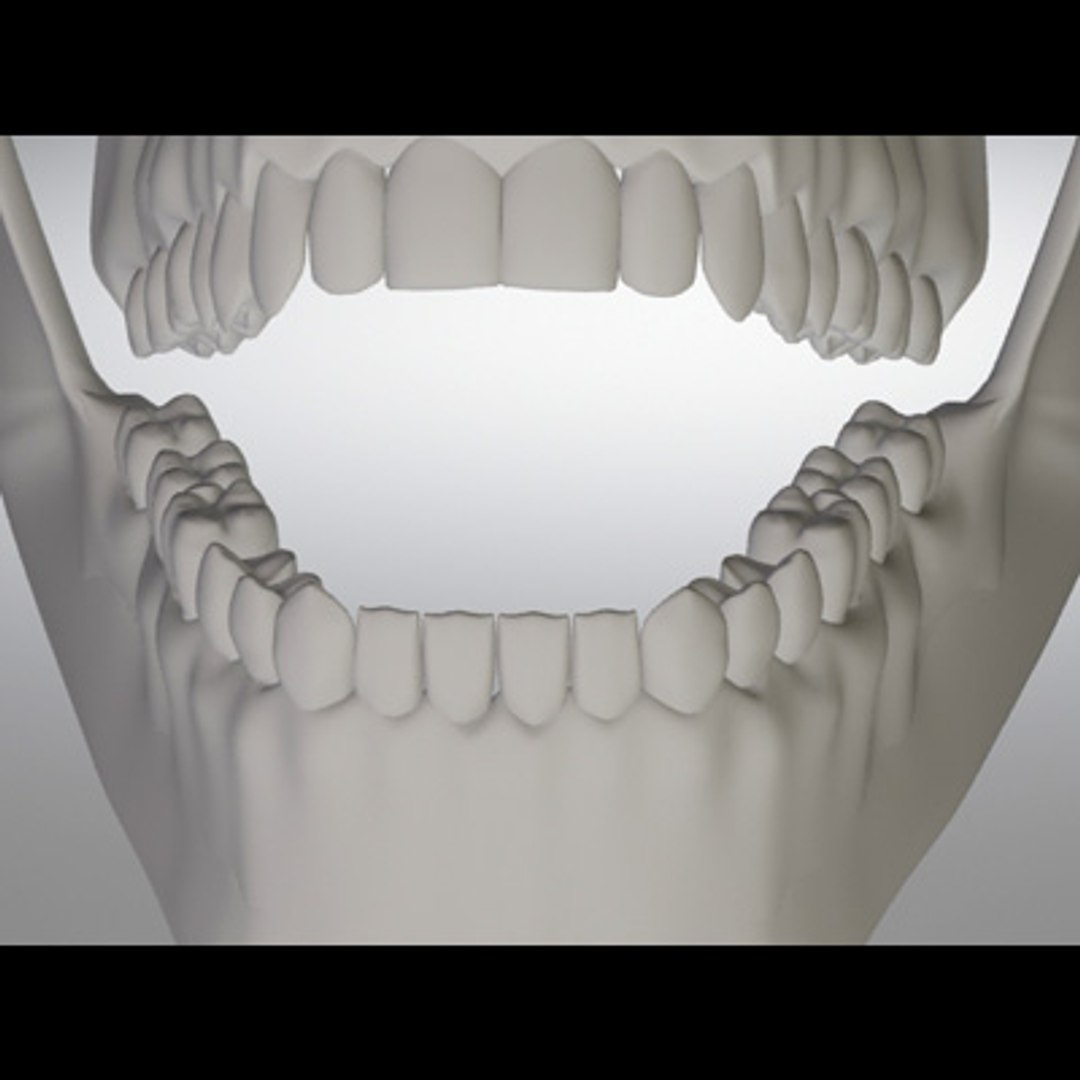 3d model human organ set https://p.turbosquid.com/ts-thumb/fU/BSNh22/ENk6OHP2/uteeth_3/jpg/1296468911/1920x1080/fit_q87/1b2a88331e2365e3f4a08a5e512246b09fedb843/uteeth_3.jpg