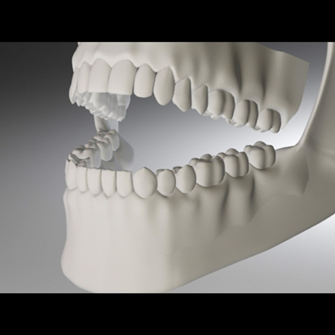 3d model human organ set https://p.turbosquid.com/ts-thumb/fU/BSNh22/F3qo5z7b/uteeth_4/jpg/1296468912/1920x1080/fit_q87/7a2502e768179e5d9159cc784bcde7f1eb8ef0e4/uteeth_4.jpg
