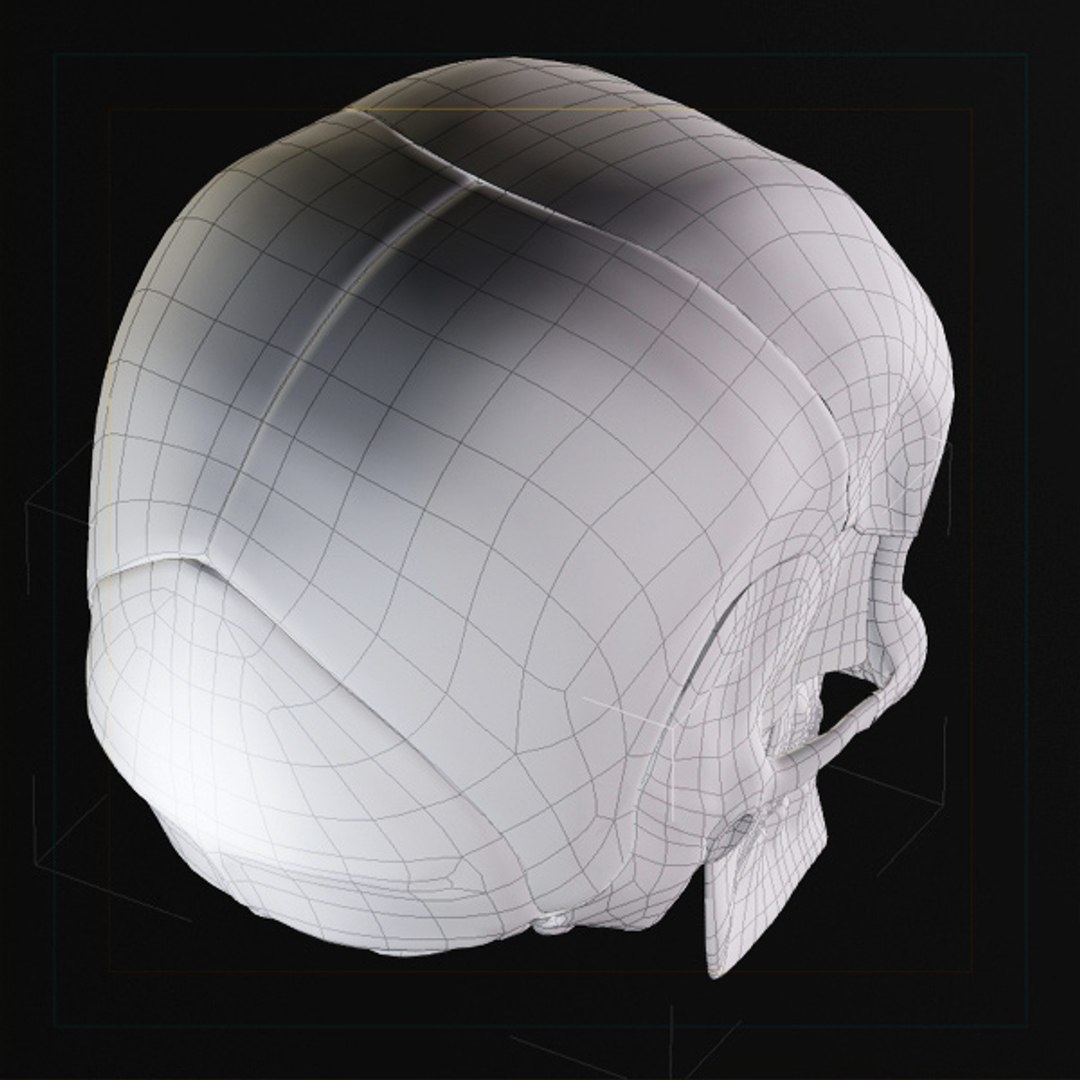 3d model human organ set https://p.turbosquid.com/ts-thumb/fU/BSNh22/FMNPpudV/sk_991/jpg/1296468911/1920x1080/fit_q87/b68c7e74c07b8f3d4a64ad420e55d201336161d3/sk_991.jpg