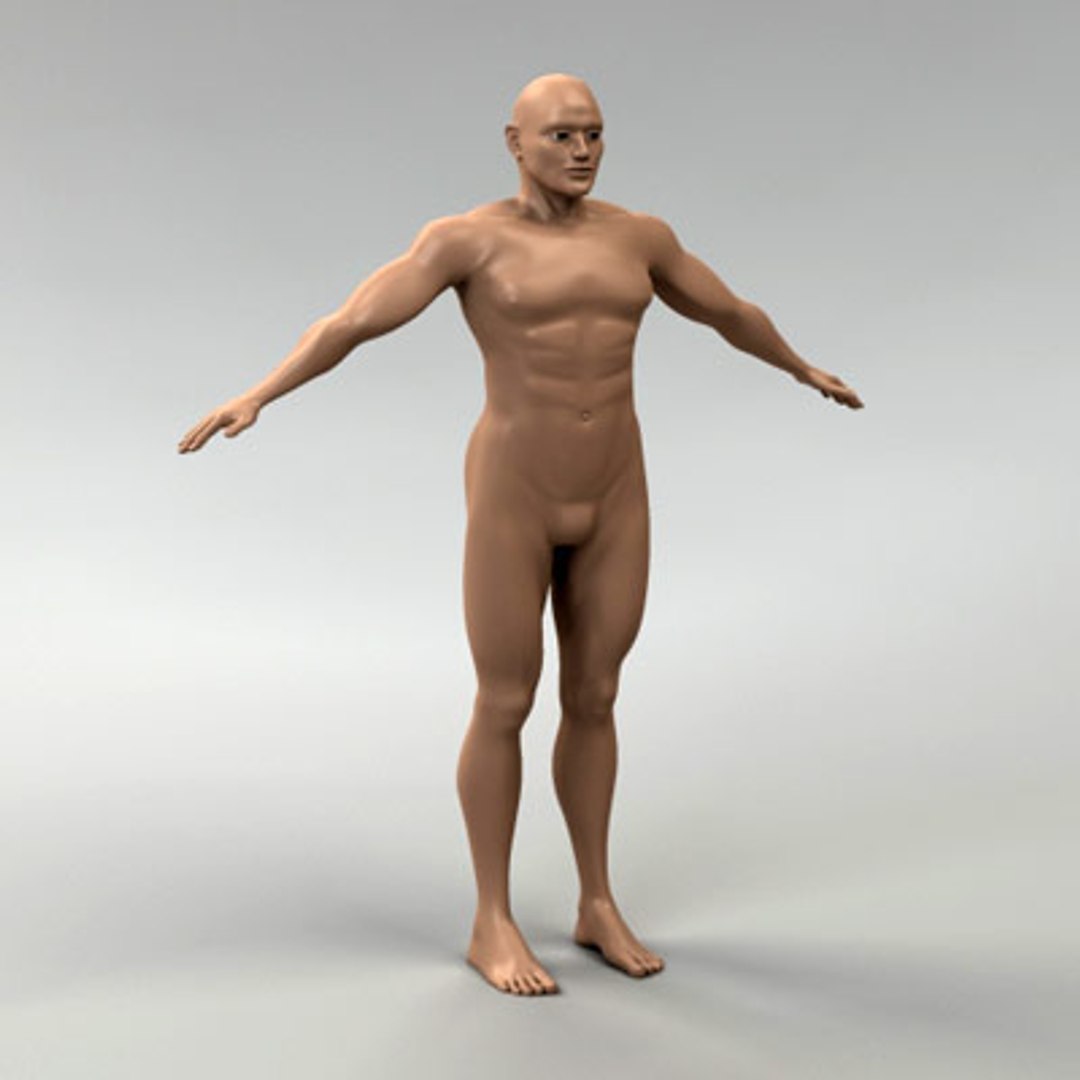 3d model human organ set https://p.turbosquid.com/ts-thumb/fU/BSNh22/HP6EfjRk/male_3/jpg/1296468910/1920x1080/fit_q87/79a3c4c7636aedfc57ae837652770e66b834aa01/male_3.jpg