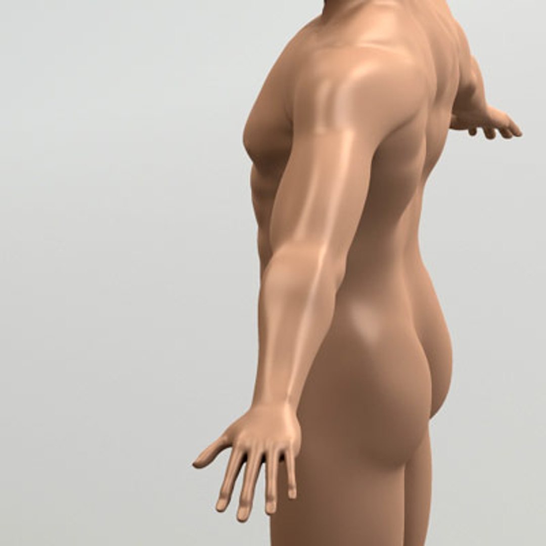 3d model human organ set https://p.turbosquid.com/ts-thumb/fU/BSNh22/LzlxpROy/male_4/jpg/1296468910/1920x1080/fit_q87/e35d59d7248ed3b977212fafb18baa99af27bb98/male_4.jpg