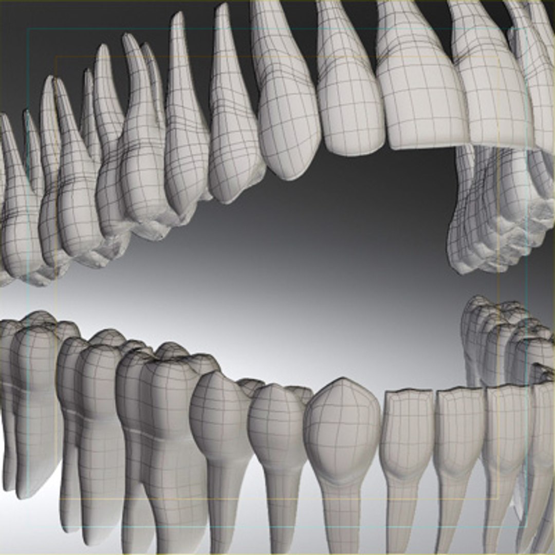 3d model human organ set https://p.turbosquid.com/ts-thumb/fU/BSNh22/Ntxpwv52/ot_92/jpg/1296468911/1920x1080/fit_q87/5224a12eb00bf6390b452c5233321fdc84e6e181/ot_92.jpg