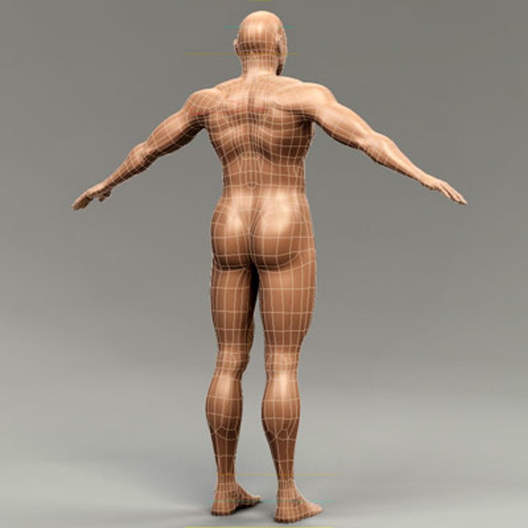 3d model human organ set https://p.turbosquid.com/ts-thumb/fU/BSNh22/R85V6LpZ/male_9/jpg/1296468910/1920x1080/fit_q87/80fb31a1e229a25ba113cc0e8fc995a584baacd2/male_9.jpg