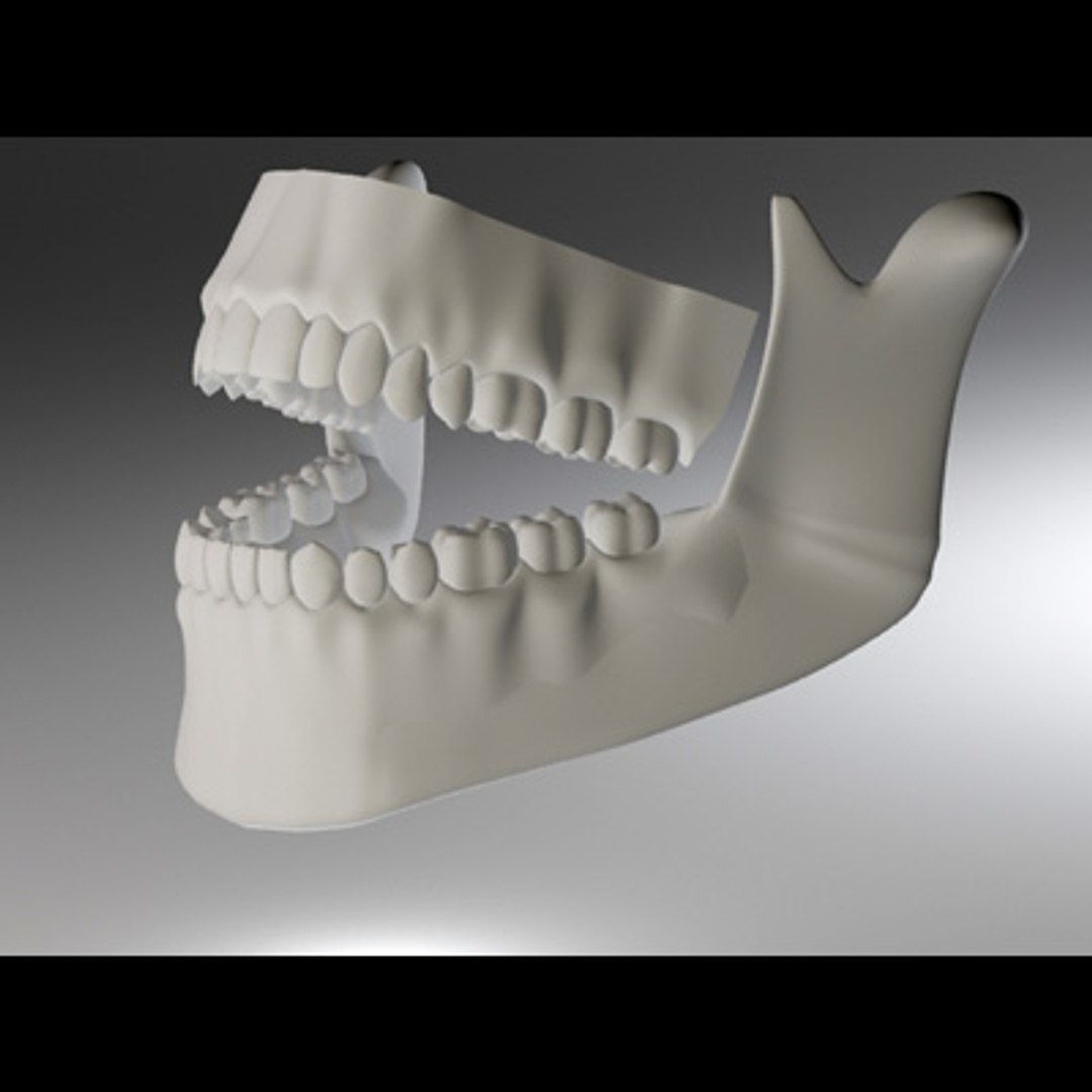 3d model human organ set https://p.turbosquid.com/ts-thumb/fU/BSNh22/SHmpc6qS/uteeth_1/jpg/1296468911/1920x1080/fit_q87/2ff4f9fd8bad3ad35bdbcddd4d7474a8fe44029e/uteeth_1.jpg