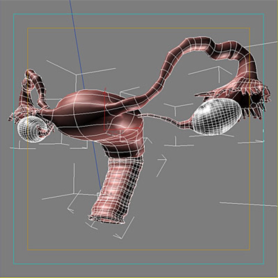 3d model human organ set https://p.turbosquid.com/ts-thumb/fU/BSNh22/YfHupNvg/fe4/jpg/1296468910/1920x1080/fit_q87/905cad3b25e1991c880de0018af9a8ee8829c0b8/fe4.jpg