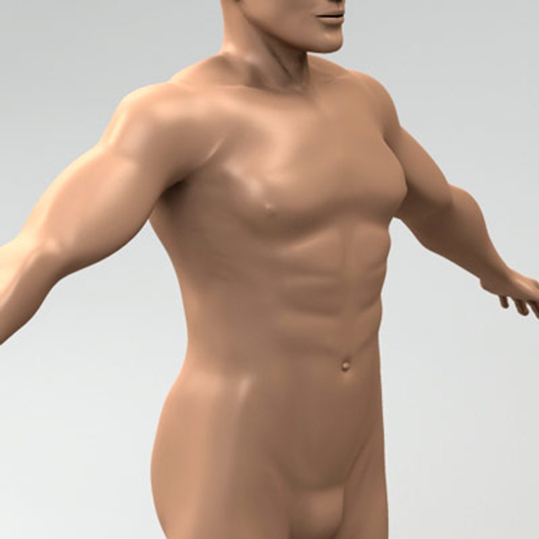 3d model human organ set https://p.turbosquid.com/ts-thumb/fU/BSNh22/YwchRapL/male_7/jpg/1296468910/1920x1080/fit_q87/e183df8bd75484b159c704dc1a955da7a1c2b79c/male_7.jpg