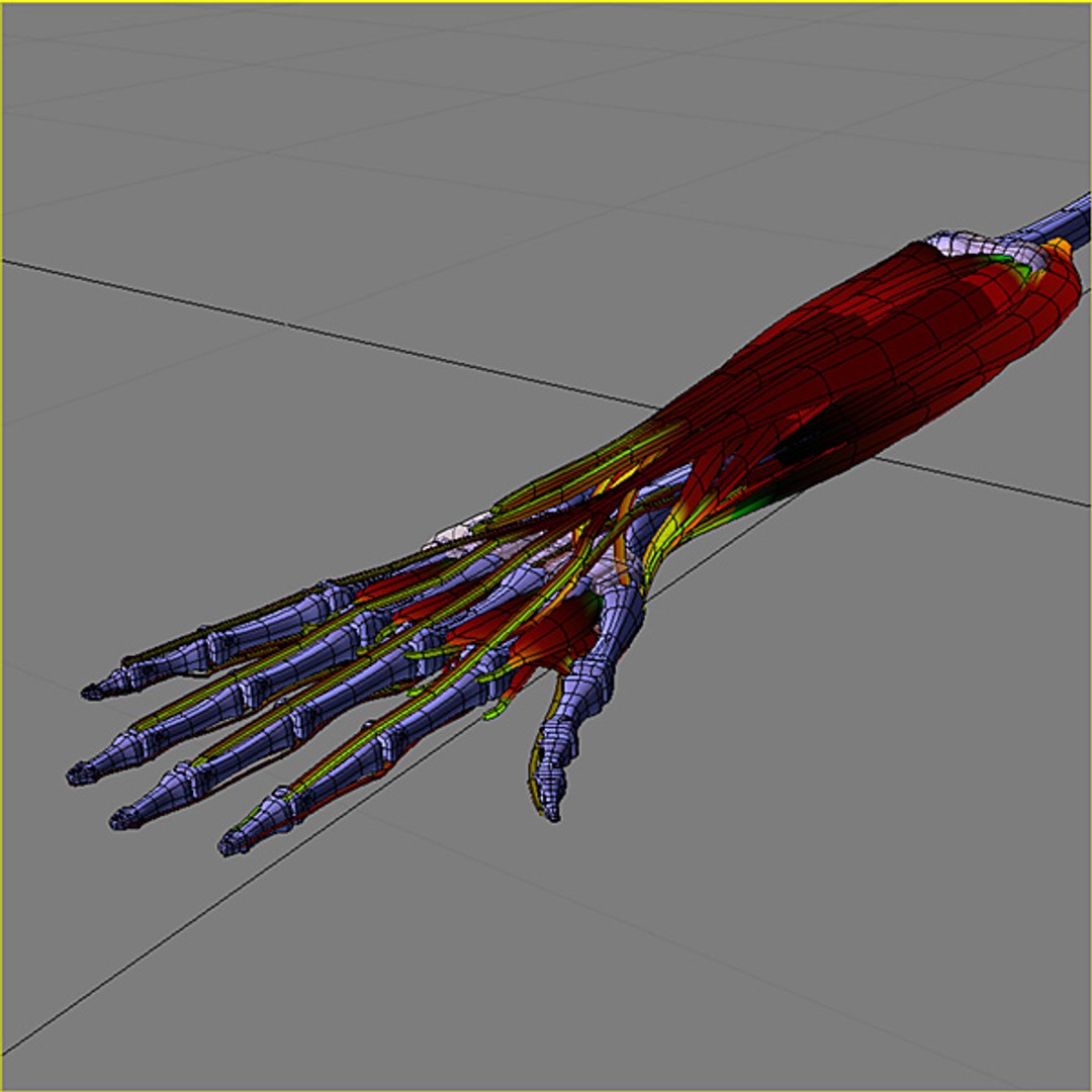 3d model human organ set https://p.turbosquid.com/ts-thumb/fU/BSNh22/ZtkeKycZ/h97/jpg/1296468910/1920x1080/fit_q87/7d1746a5dbc4308e7e77ee82f26f0fc0796f67d0/h97.jpg