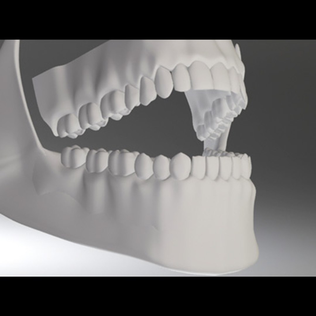 3d model human organ set https://p.turbosquid.com/ts-thumb/fU/BSNh22/a3xJkHJx/uteeth_6/jpg/1296468912/1920x1080/fit_q87/3e4f7d781225e38109abd54a3f767270a1db9d7e/uteeth_6.jpg