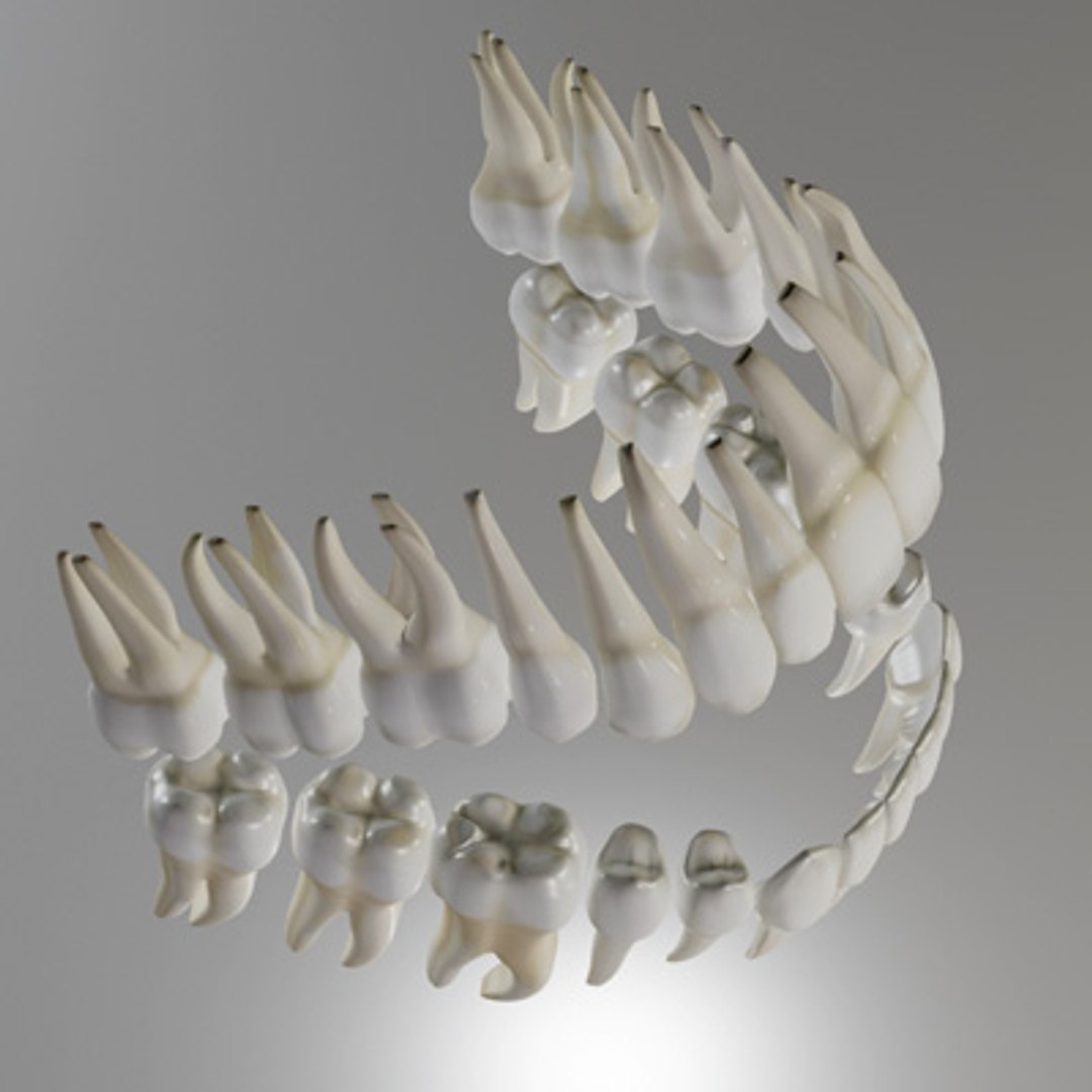 3d model human organ set https://p.turbosquid.com/ts-thumb/fU/BSNh22/nThdWsyh/ot_2/jpg/1296468910/1920x1080/fit_q87/4fc8bf32889f9c478b12a92c2ee09f3dbc0d7ded/ot_2.jpg