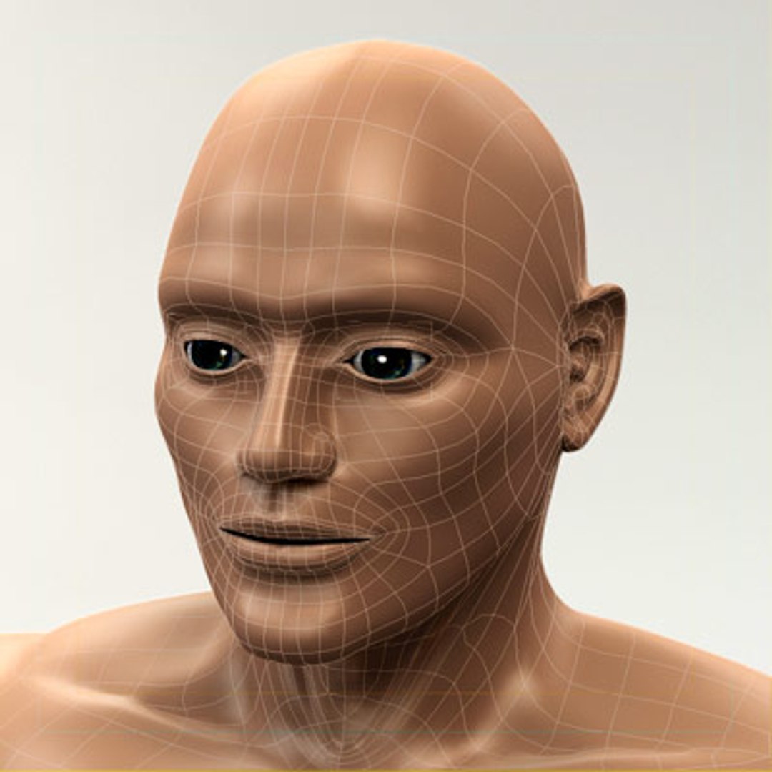 3d model human organ set https://p.turbosquid.com/ts-thumb/fU/BSNh22/qkk9X08s/male_8/jpg/1296468910/1920x1080/fit_q87/d68e8c397d426e4062caf50395955d9e8b53572d/male_8.jpg