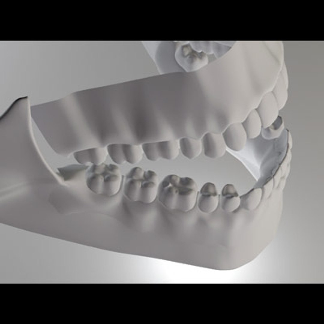 3d model human organ set https://p.turbosquid.com/ts-thumb/fU/BSNh22/quGWeUct/uteeth_5/jpg/1296468912/1920x1080/fit_q87/e0589d52df0303cf6f02fa63057a25d373e2e8b1/uteeth_5.jpg