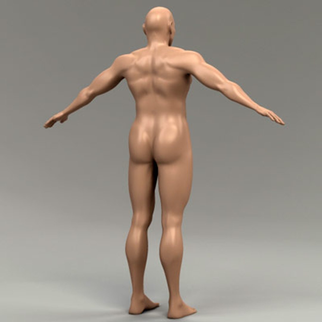 3d model human organ set https://p.turbosquid.com/ts-thumb/fU/BSNh22/vG8Vniwr/male_2/jpg/1296468910/1920x1080/fit_q87/c734fcdbf66fceaf81fde1c1c9a88ba34fcbe923/male_2.jpg