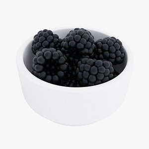 Blackberry bowl 3D model