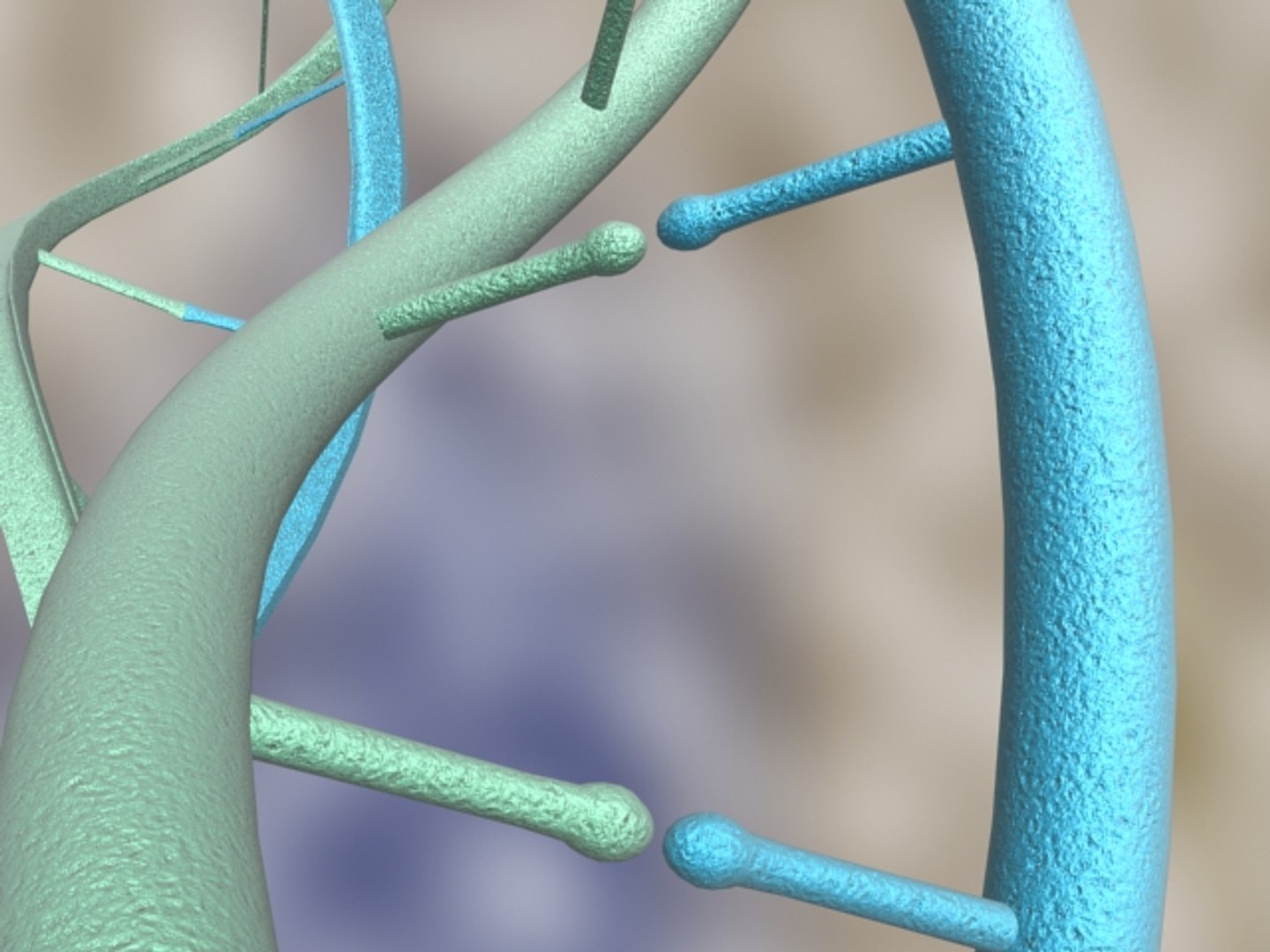 3ds science blood cells https://p.turbosquid.com/ts-thumb/fU/c2yafT/6PsC5Xxi/sdna6/jpg/1155285529/1920x1080/fit_q87/6a1e4f02d8696d166c7fe020c89c0a0e88c0e84a/sdna6.jpg