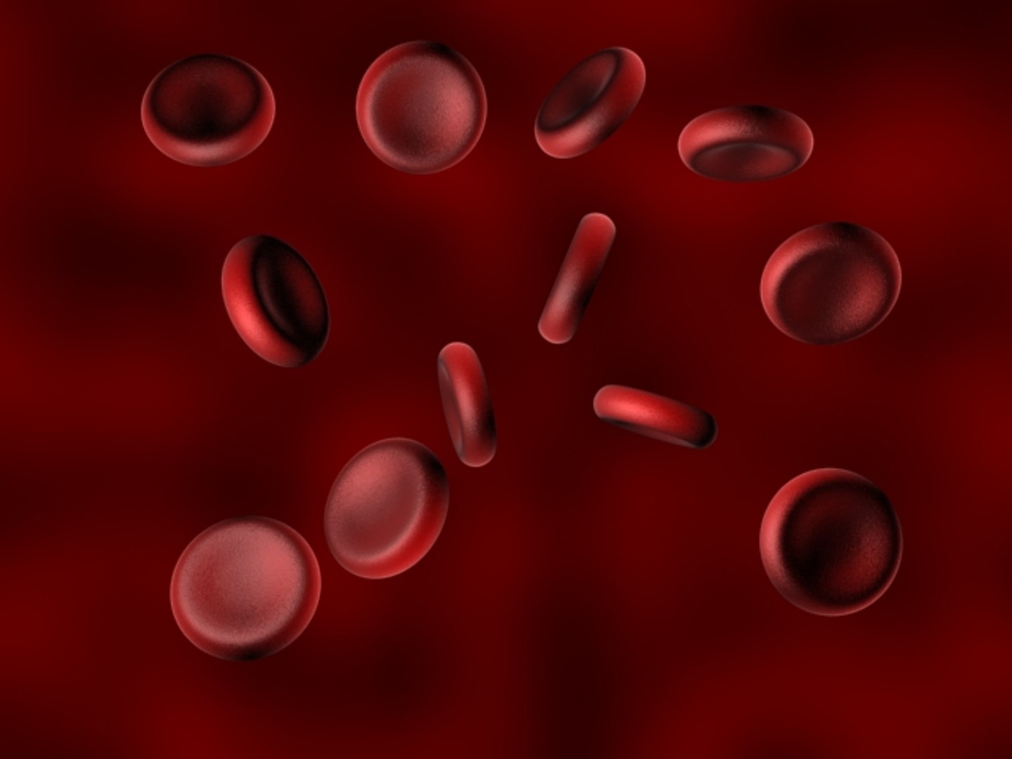 3ds science blood cells https://p.turbosquid.com/ts-thumb/fU/c2yafT/9tUrfnEH/blood08/jpg/1155285299/1920x1080/fit_q87/e72750c8899e098dce21eadae68cbd310d4dec5f/blood08.jpg