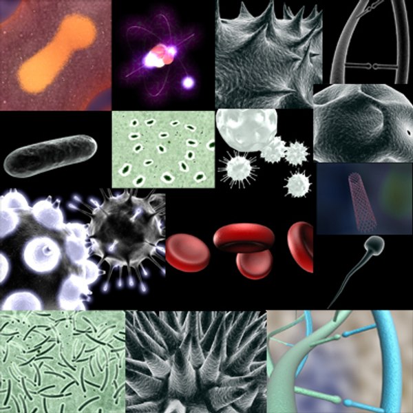 microscopic pollen bacteria cell 3d model