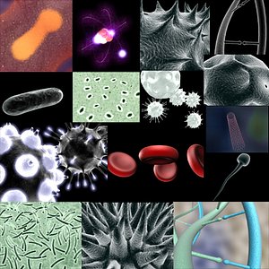 Science Collection