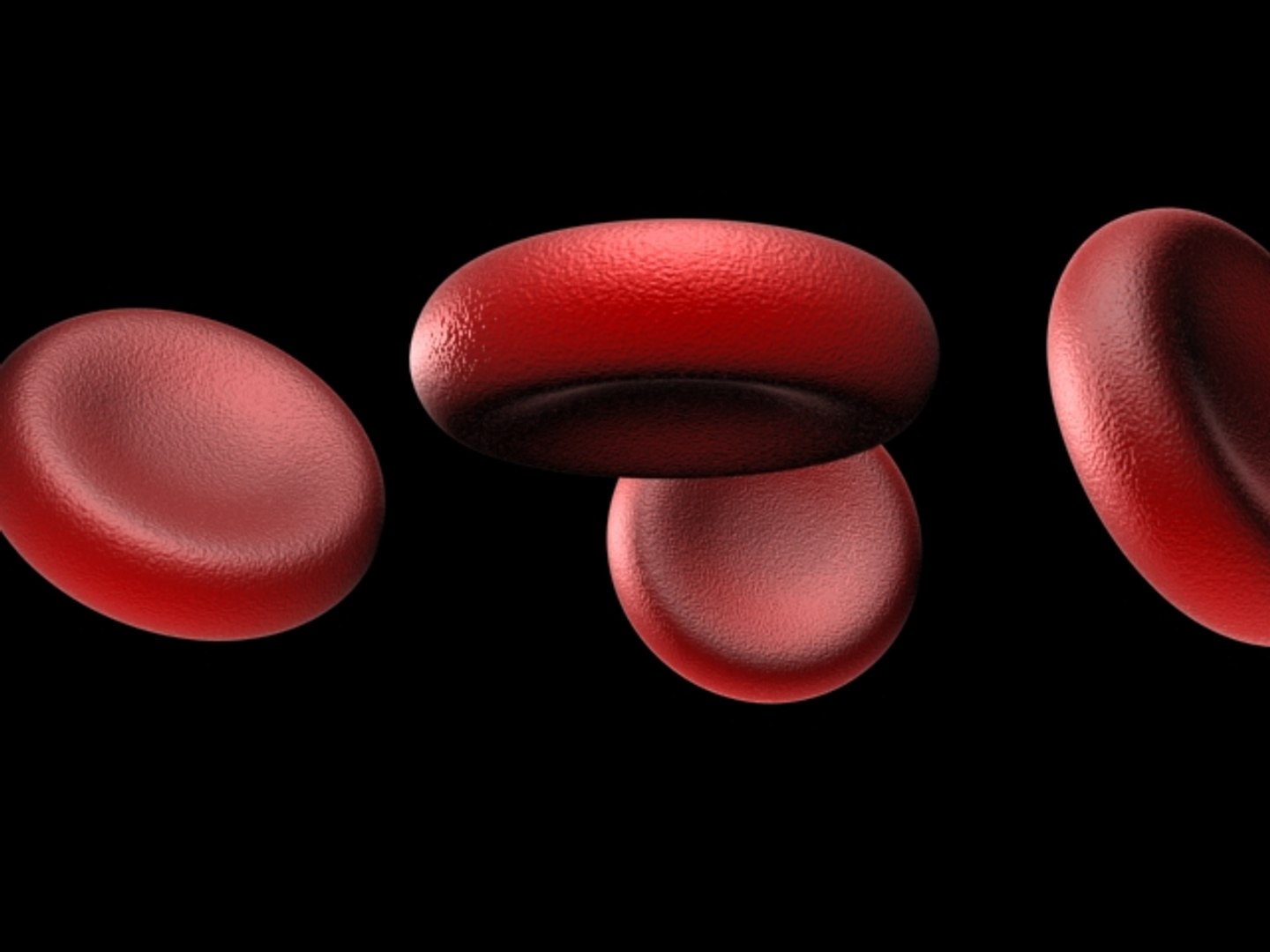 3ds science blood cells https://p.turbosquid.com/ts-thumb/fU/c2yafT/oV4xUor0/blood02/jpg/1155285293/1920x1080/fit_q87/a93a1322f512dd410a3a44a098ea31ee2f52b57b/blood02.jpg