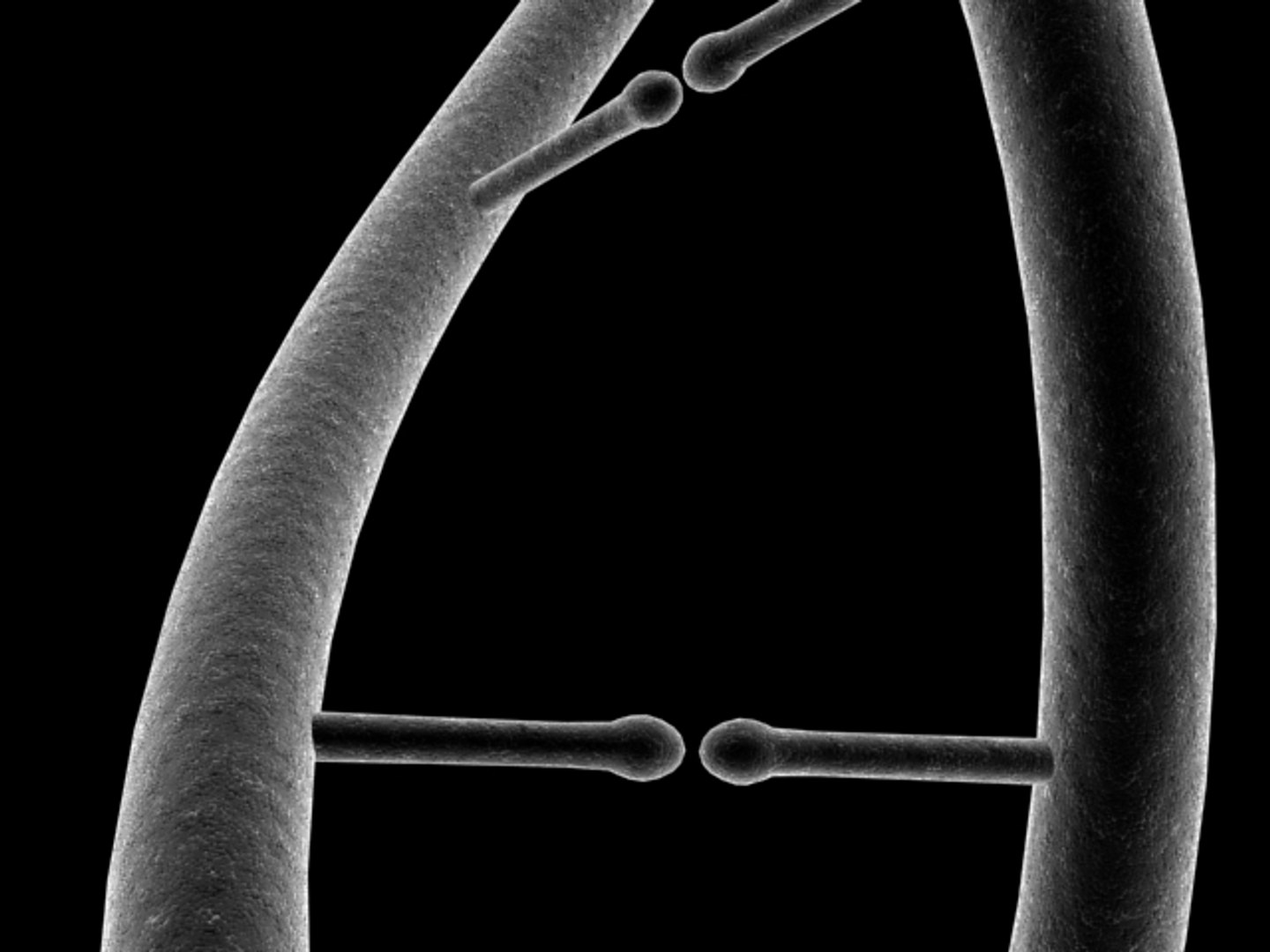 3ds science blood cells https://p.turbosquid.com/ts-thumb/fU/c2yafT/tTGRyGNB/dna0/jpg/1155285321/1920x1080/fit_q87/df80b2f91fc51f994f3e5f8d45978f4f7dbfc42a/dna0.jpg
