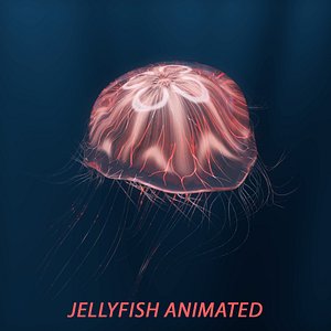 jellyfish animations 3D