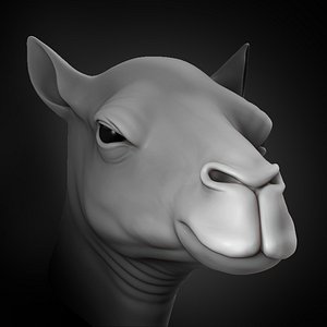 camel head animal 2020 3D model