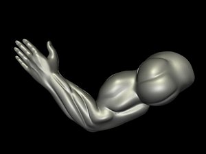 arm ma