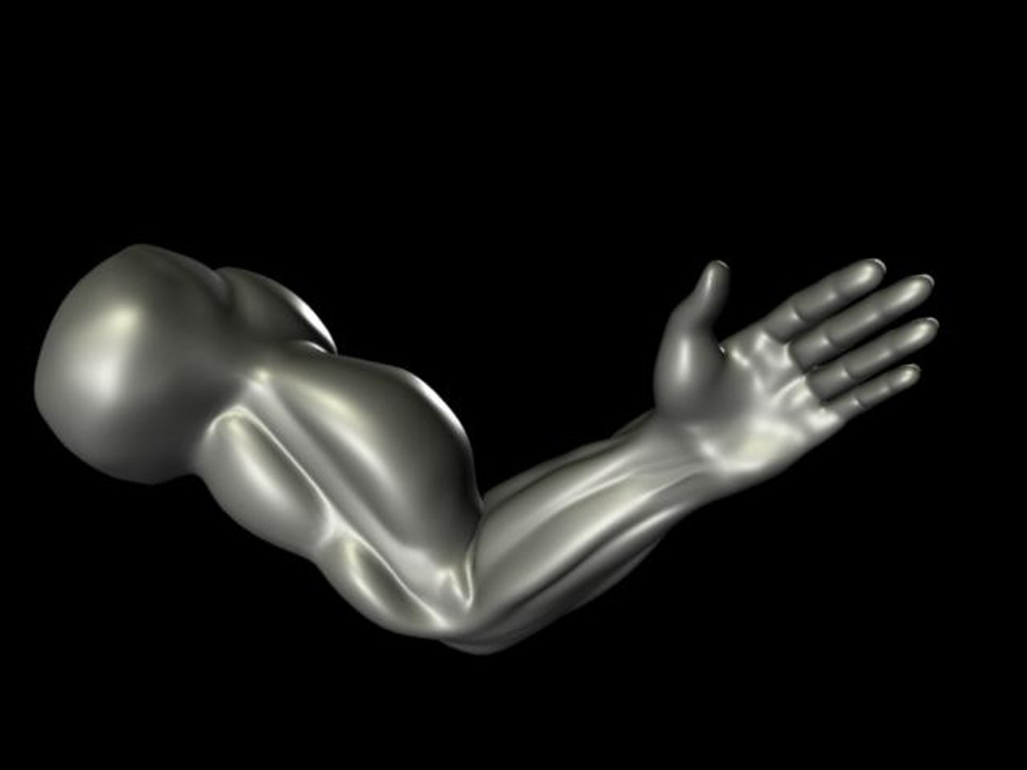 arm ma https://p.turbosquid.com/ts-thumb/fV/5IX71o/uQwKP1a3/arm2/jpg/1139701192/1920x1080/fit_q87/5c5e84e36e350823547f79cdc4f84e20043048bb/arm2.jpg