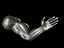 Arm