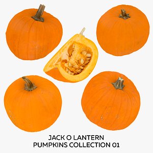 3D Jack o Lantern Pumpkins Collection 01 - 5 models RAW Scans
