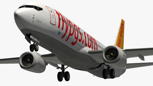 Boeing pegasus airlines 3D TurboSquid 1246107