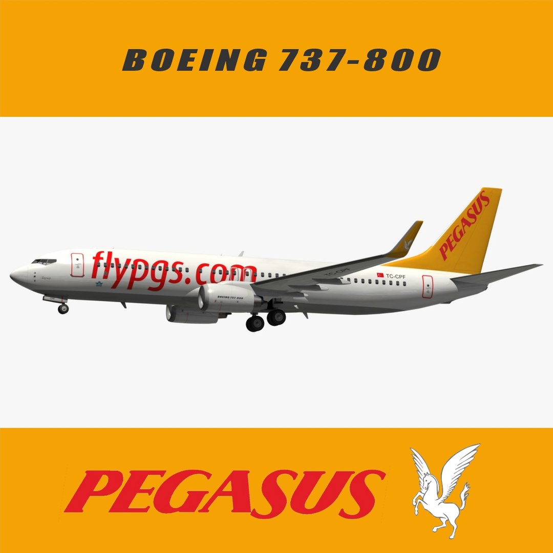 Boeing Pegasus Airlines 3D TurboSquid 1246107