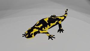 Tiger salamander