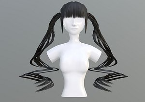 Ponytails Long Hair 3D model