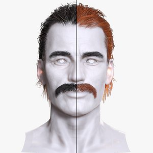 Thick Mustache with Slick Hair - Realistic 3D Male Hair 3D model