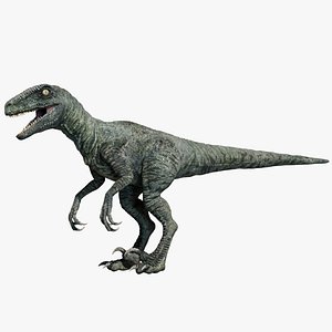 Velociraptor Rigged 3D