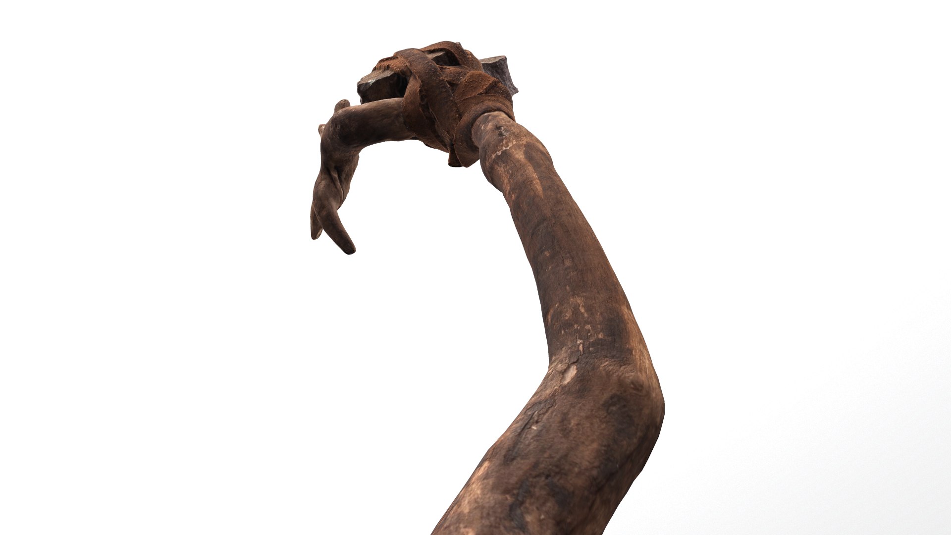 Real - 3D Model - TurboSquid 1589370