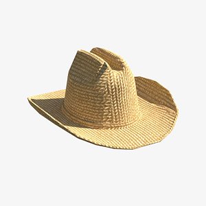 3D Cowboy Hat 3D Model