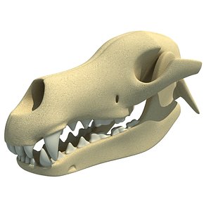 dog skull skeleton 3d max