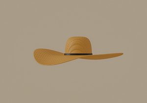 straw sun 3D model