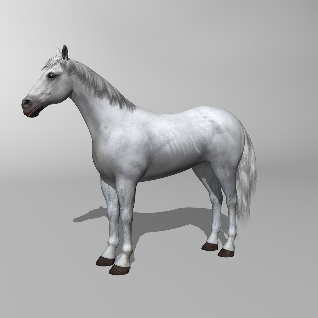 lwo rigged 4 horse 1 https://p.turbosquid.com/ts-thumb/fV/zbZXUK/2HNtfJ2P/white_horse_e/jpg/1324022342/1920x1080/fit_q87/7a2e44bac0d4bb7e6f9108537a23018bd28e3866/white_horse_e.jpg