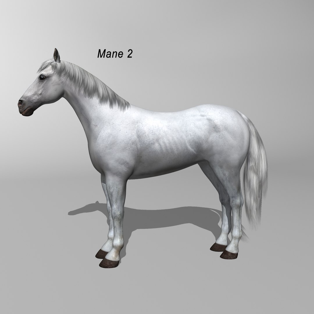 lwo rigged 4 horse 1 https://p.turbosquid.com/ts-thumb/fV/zbZXUK/3MLVPZvE/white_horse_b1/jpg/1324022342/1920x1080/fit_q87/f16bb08e8c5793a5cbdd1caf9a7b6c61319e7b4b/white_horse_b1.jpg