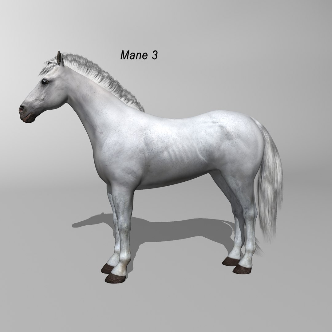 lwo rigged 4 horse 1 https://p.turbosquid.com/ts-thumb/fV/zbZXUK/8o8Yd4nm/white_horse_b2/jpg/1324022342/1920x1080/fit_q87/60e7b22f6c4ec1526f6b98b282497ccd57f4f00a/white_horse_b2.jpg